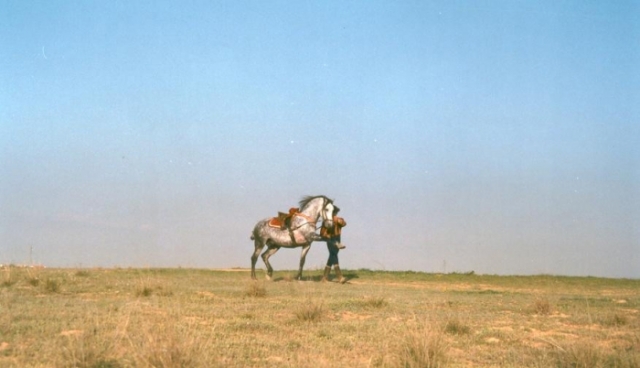  ride with the horse 
